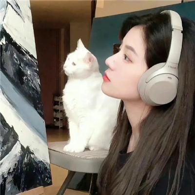 连环情杀案